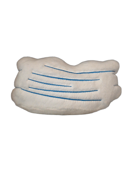 Cirrus Cloud