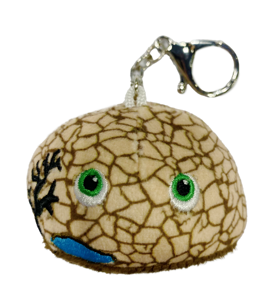 Drought Key Chain