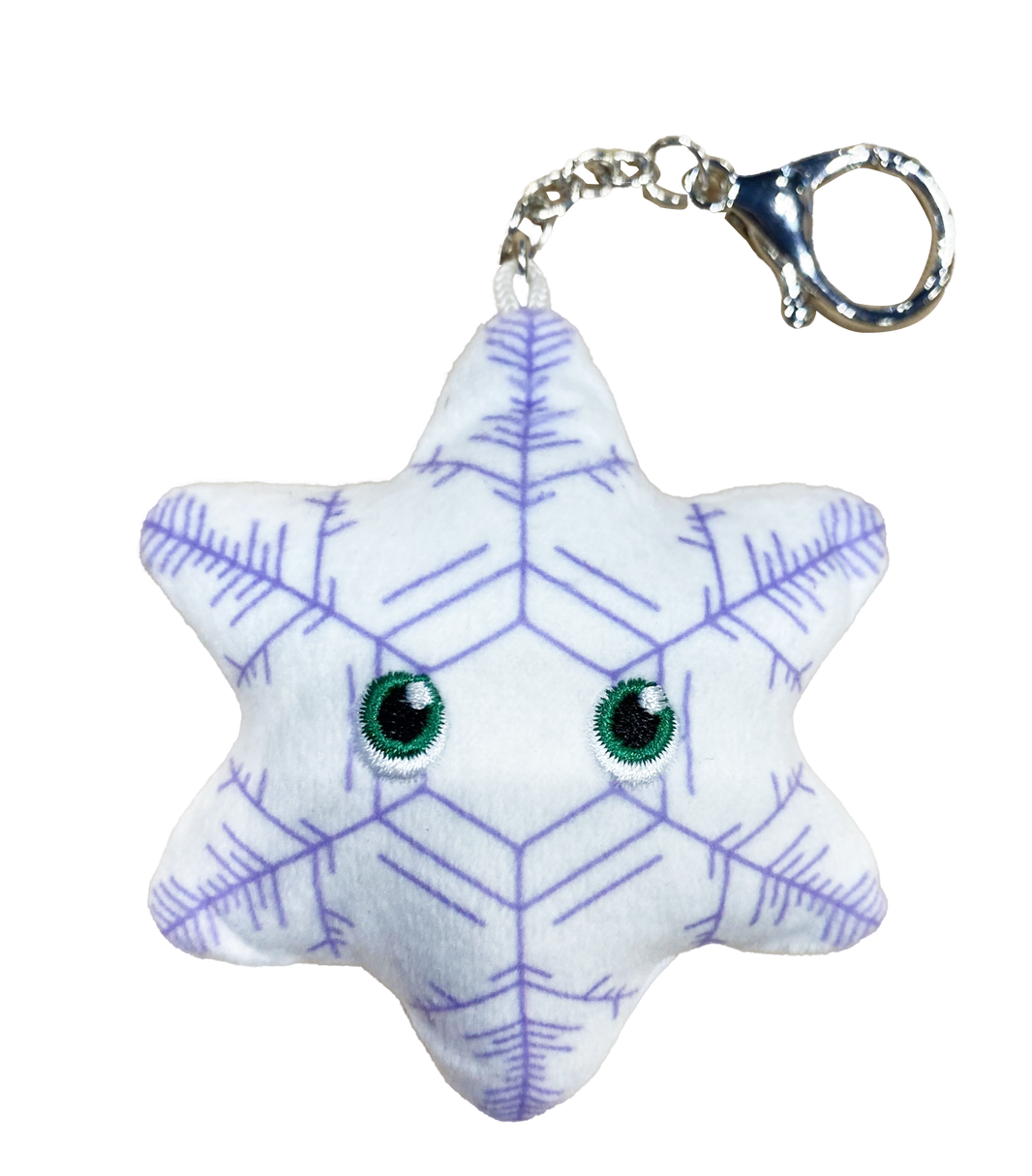 Snowflake Fernlike Dendrites Key Chain