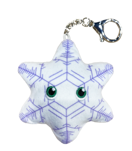 Snowflake Fernlike Dendrites Key Chain
